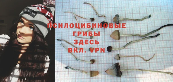 соль курить ск Богородск