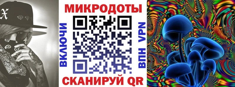 ссылка на мегу вход  Гулькевичи  Псилоцибиновые грибы мицелий  закладка 