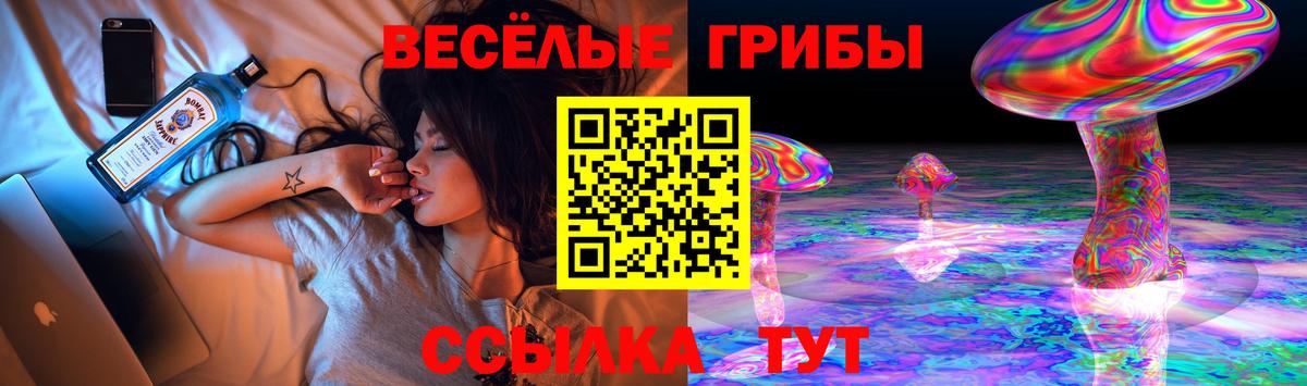 Псилоцибиновые грибы мицелий Гулькевичи